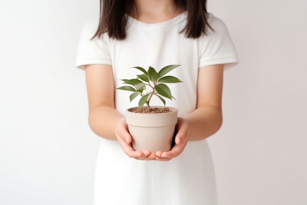 Little girl hand holding potted give windowsill portrait sleeve. 