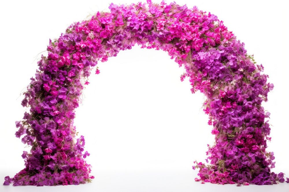 Arch flower purple plant. AI generated Image by rawpixel.