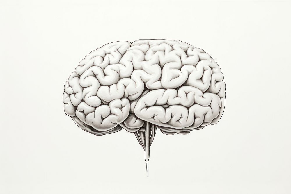 Drawing sketch brain illustrated. AI generated Image by rawpixel.