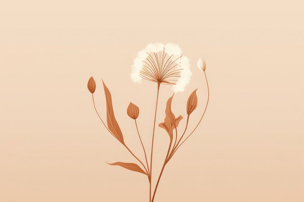 Dried flower plant fragility blossom. AI generated Image by rawpixel.