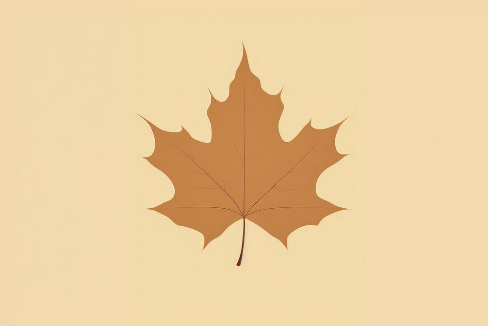 Autumn leaf backgrounds plant tree. AI generated Image by rawpixel.