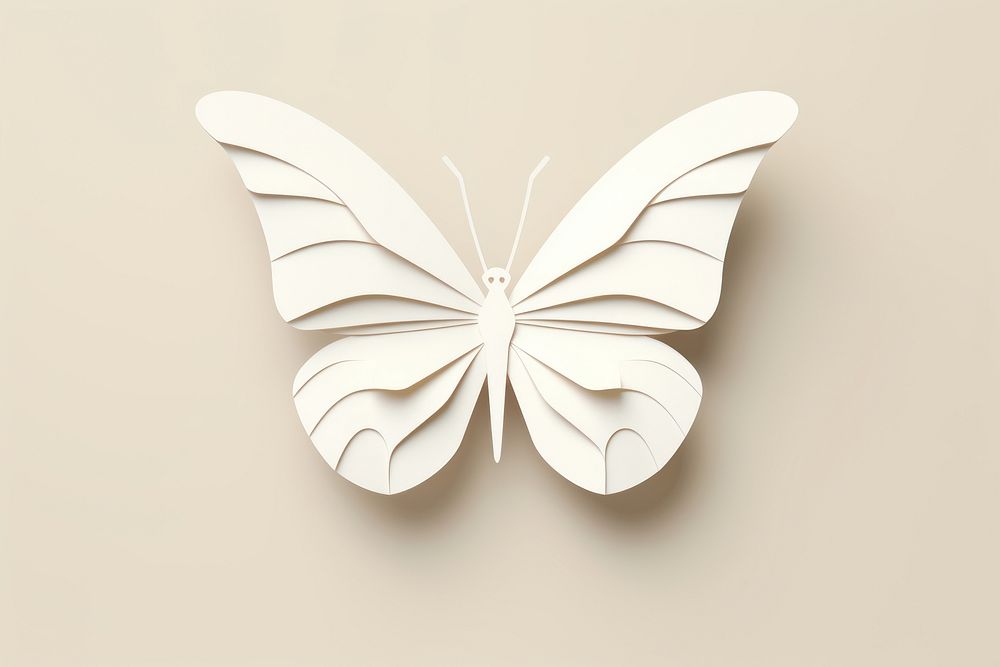 Butterfly white art creativity. AI generated Image by rawpixel.