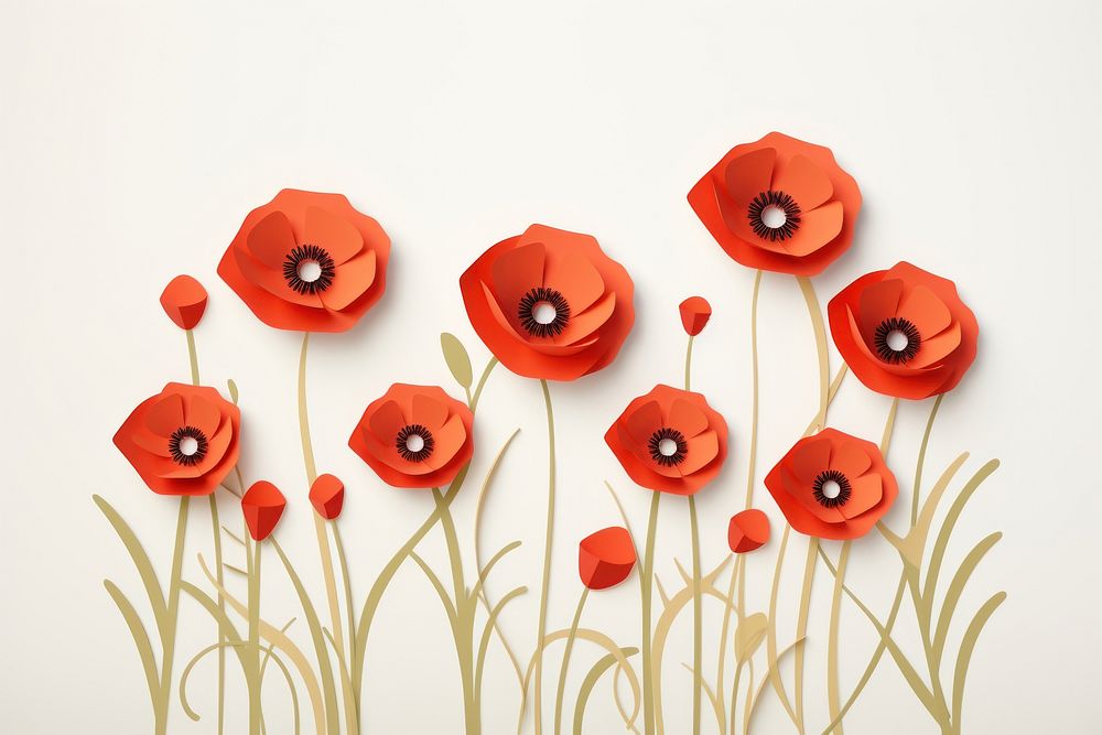 Poppy flowers meadow petal plant creativity. 