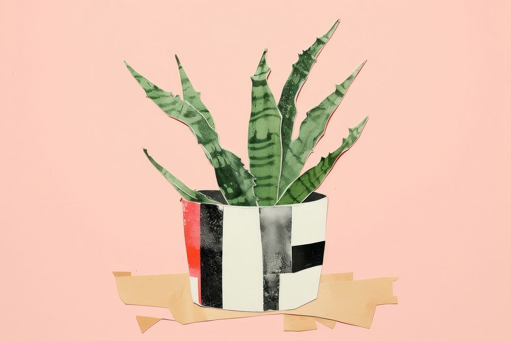 Potted aloe vera plant vase art. 