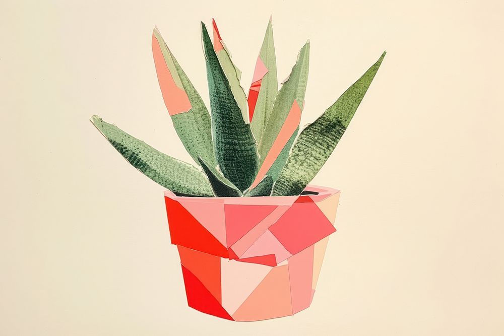 Potted aloe vera plant art creativity. 