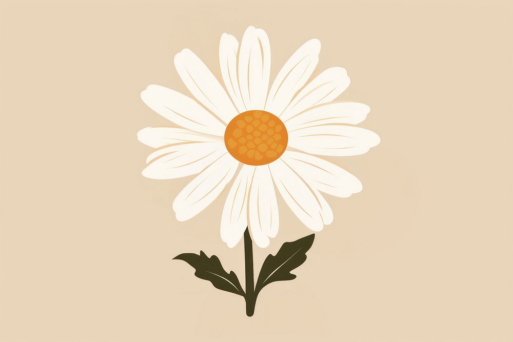 Daisy flower plant inflorescence. AI generated Image by rawpixel.