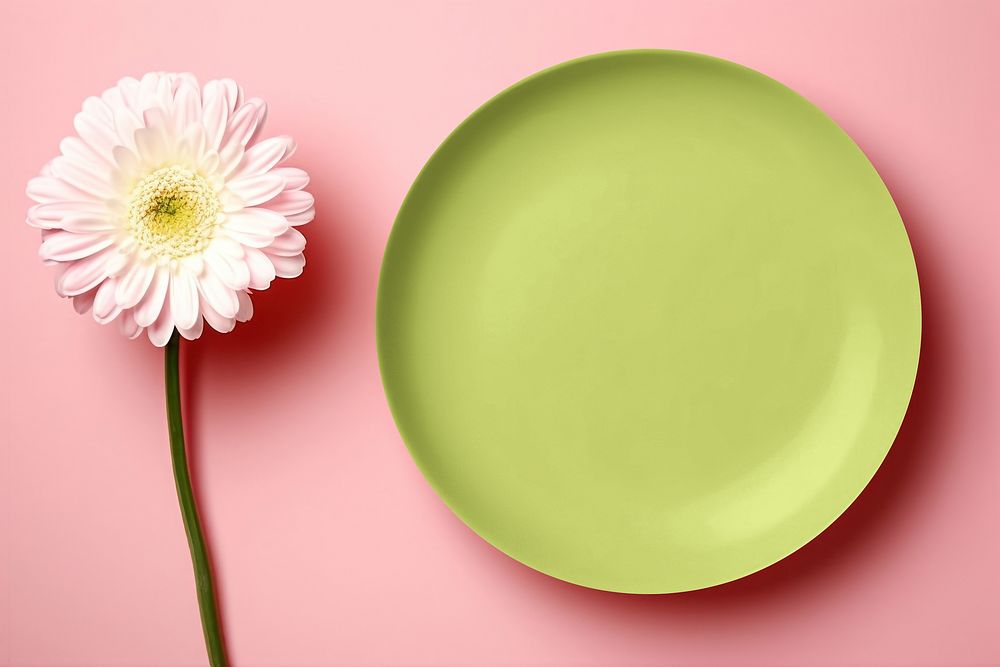 Green simple plate