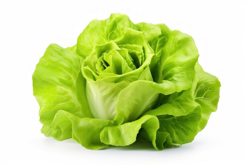 Fresh lettuce vegetable plant food. AI generated Image by rawpixel.