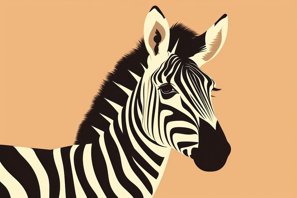 Zebra wildlife animal mammal. 