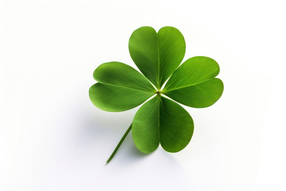 Leaf clover plant green. AI generated Image by rawpixel.