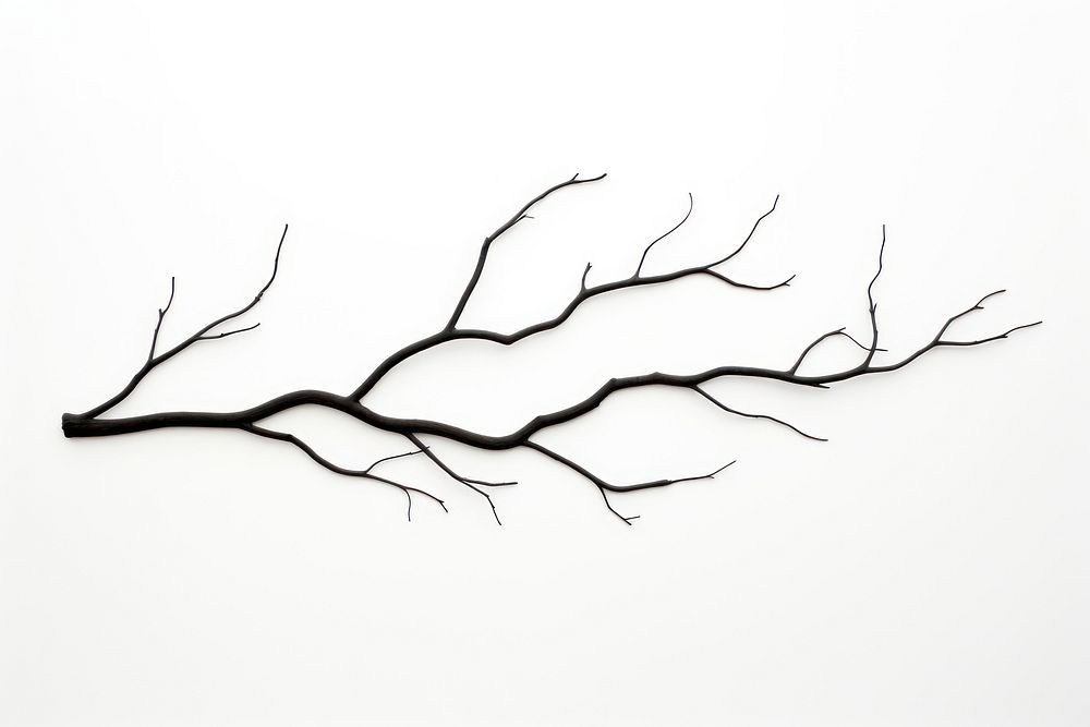 Twig drawing sketch plant. AI generated Image by rawpixel.