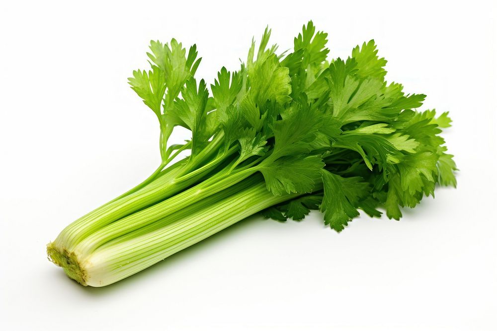 Celery vegetable parsley plant. AI generated Image by rawpixel.