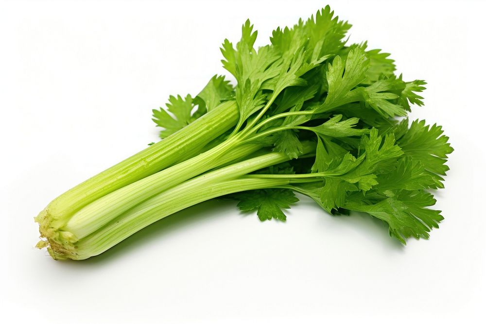 Celery vegetable parsley plant. AI generated Image by rawpixel.