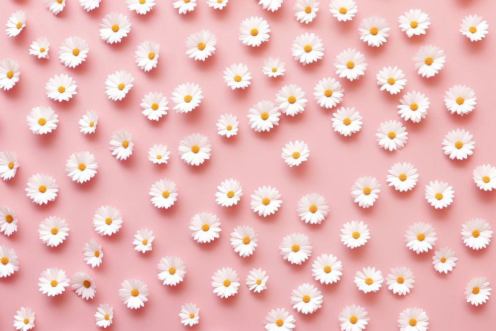 Wallpaper pattern flower daisy backgrounds. 