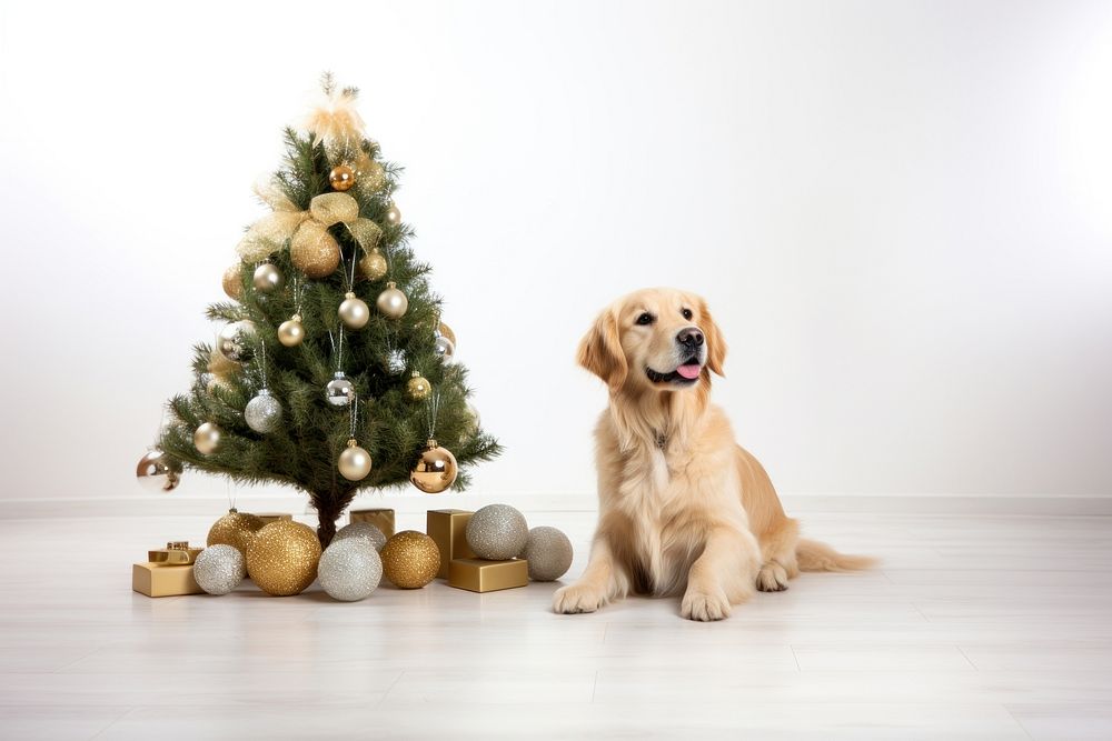 Christmas tree dog mammal. AI generated Image by rawpixel.