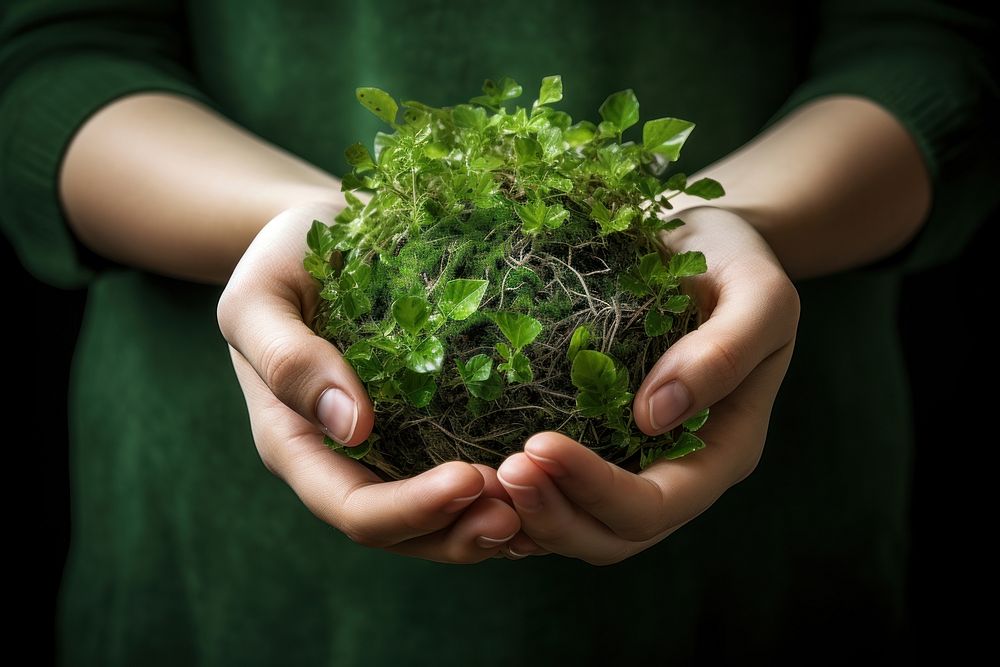 Hand gardening holding nature. AI generated Image by rawpixel.