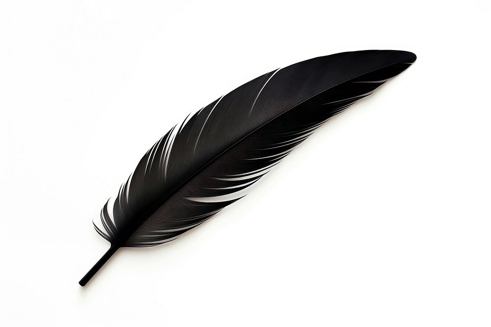 Feather black white background lightweight. 