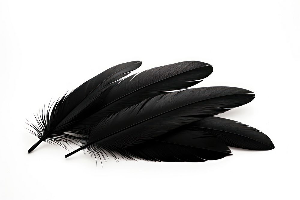 Feather black white background lightweight. AI generated Image by rawpixel.