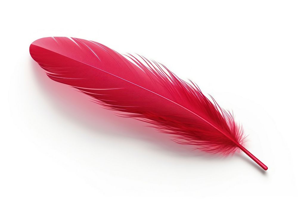 Feather red white background lightweight. AI generated Image by rawpixel.