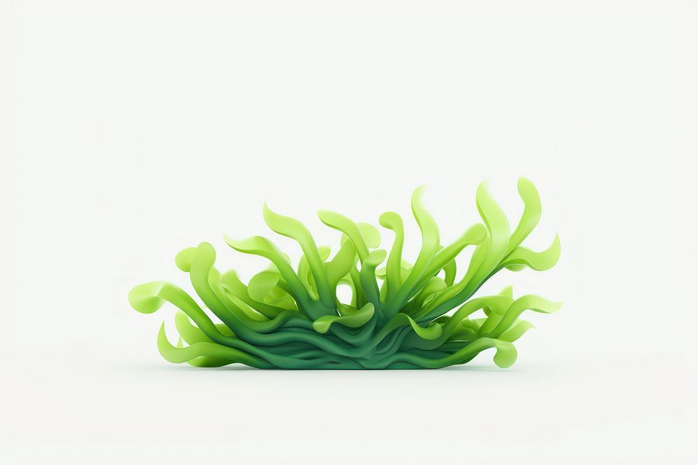 Seaweed plant green white background. AI generated Image by rawpixel.
