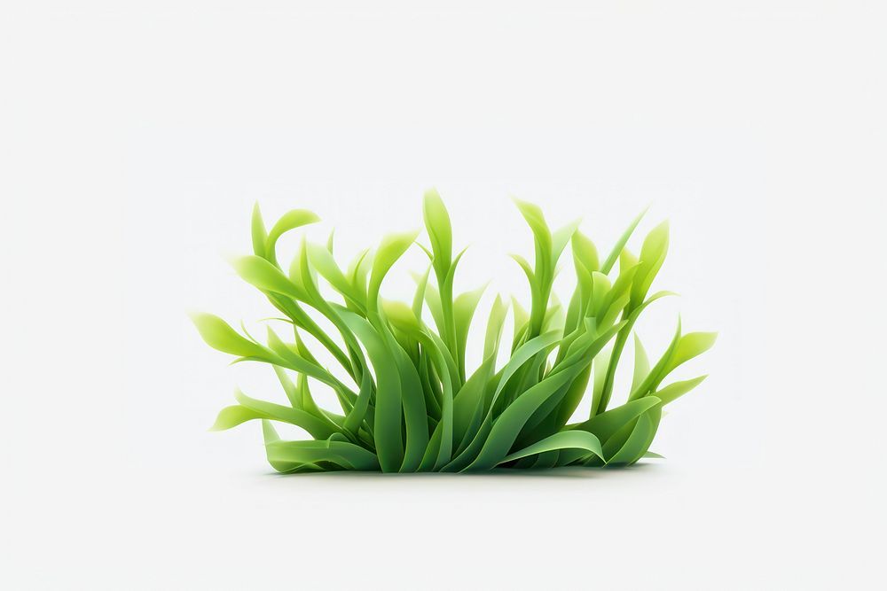 Seaweed plant grass green. AI generated Image by rawpixel.