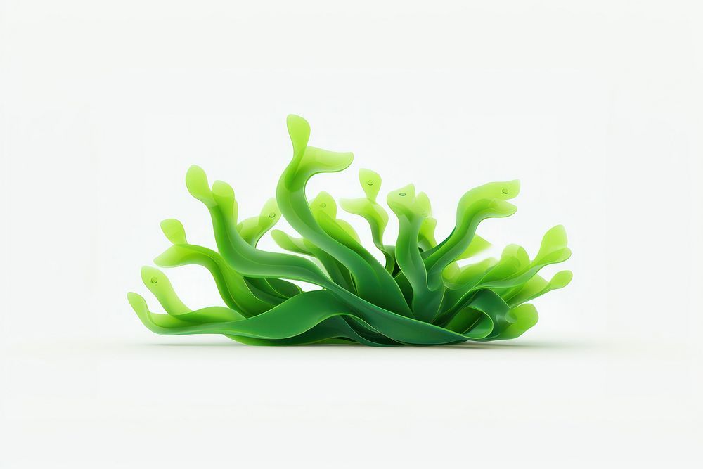 Seaweed green white background accessories. AI generated Image by rawpixel.