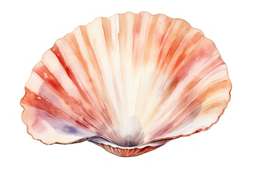 Beach seashell seafood clam. AI generated Image by rawpixel.