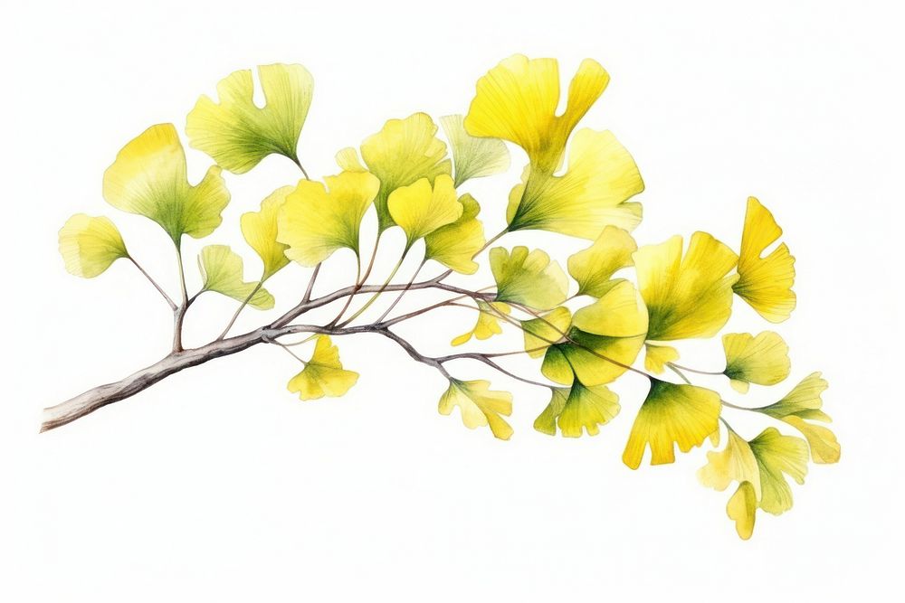 Tree leaf yellow plant. AI generated Image by rawpixel.