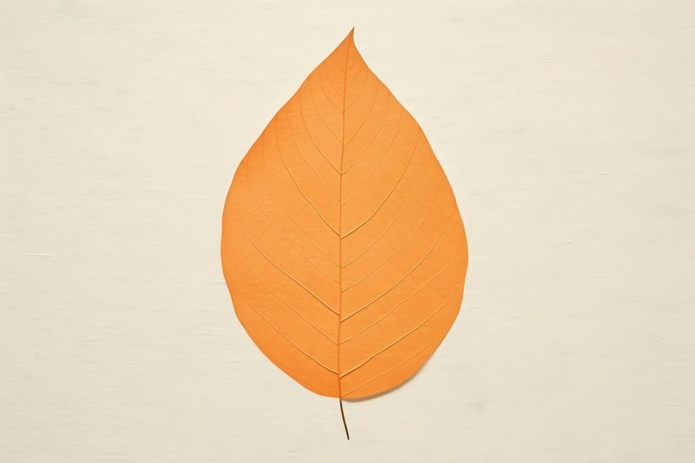 Orange leaf plant tree creativity. AI generated Image by rawpixel.