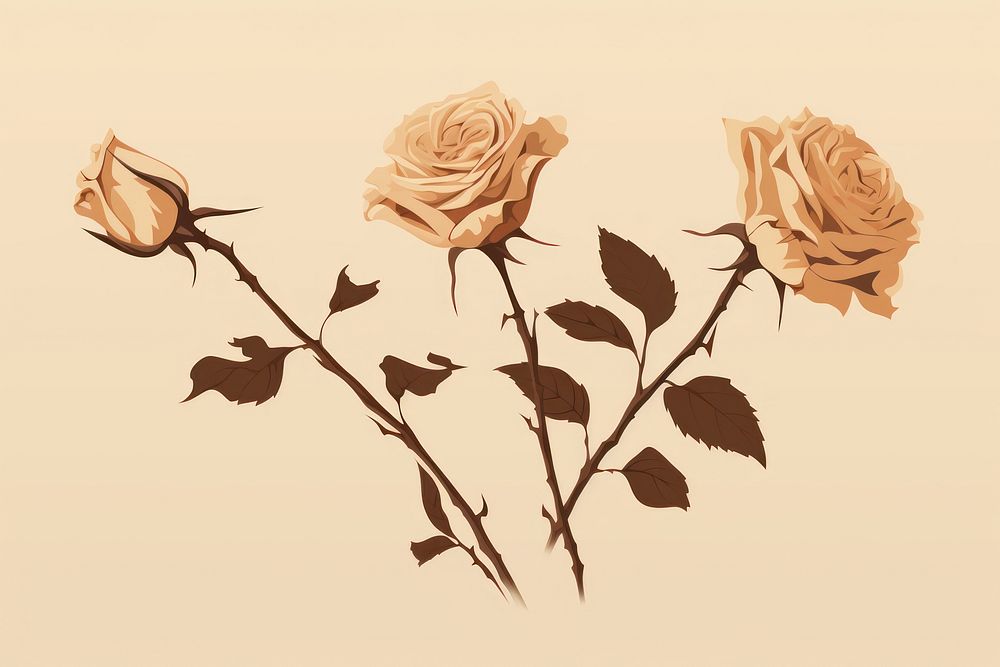 Dried roses flower plant inflorescence. | Premium Photo Illustration ...