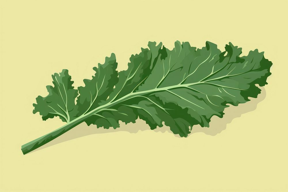 Kale leaf vegetable plant food. AI generated Image by rawpixel.