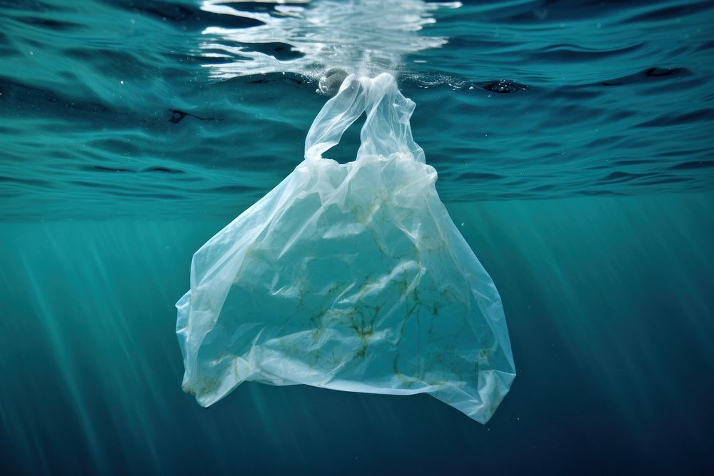 Plastic bag outdoors nature underwater. 