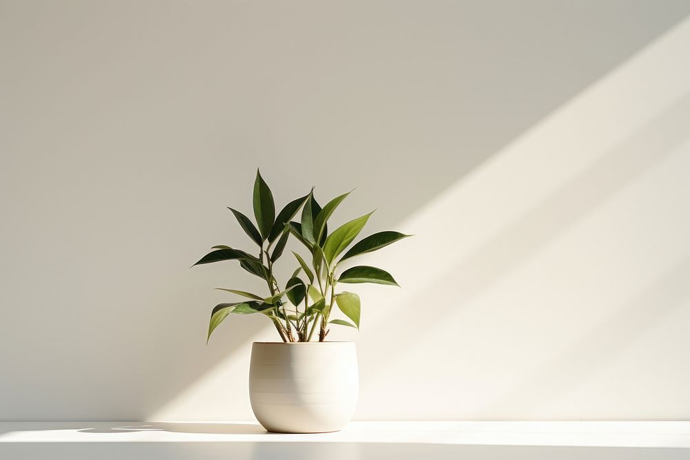 Plants leaf houseplant flowerpot. AI generated Image by rawpixel.