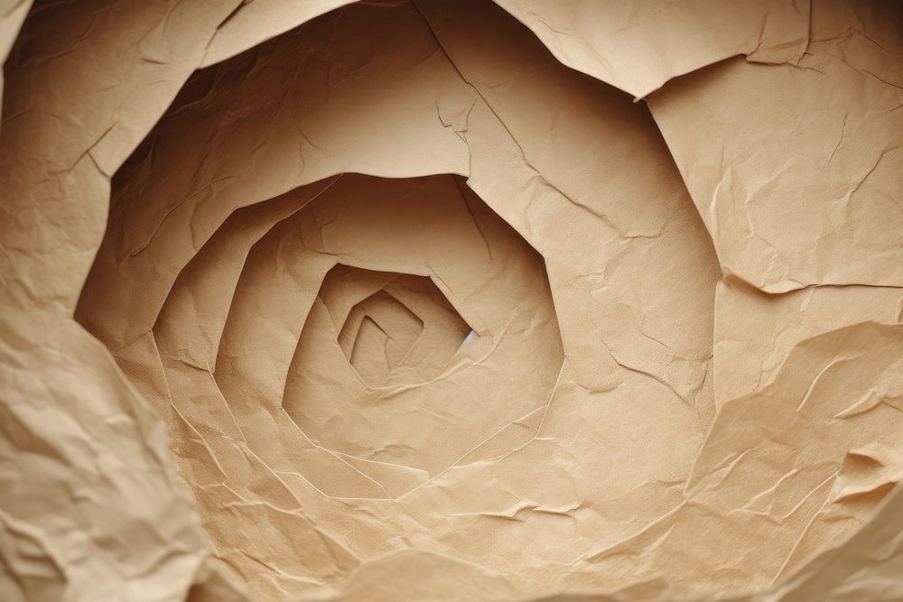 Ripped Cardboard Texture paper backgrounds textured. AI generated Image by rawpixel.