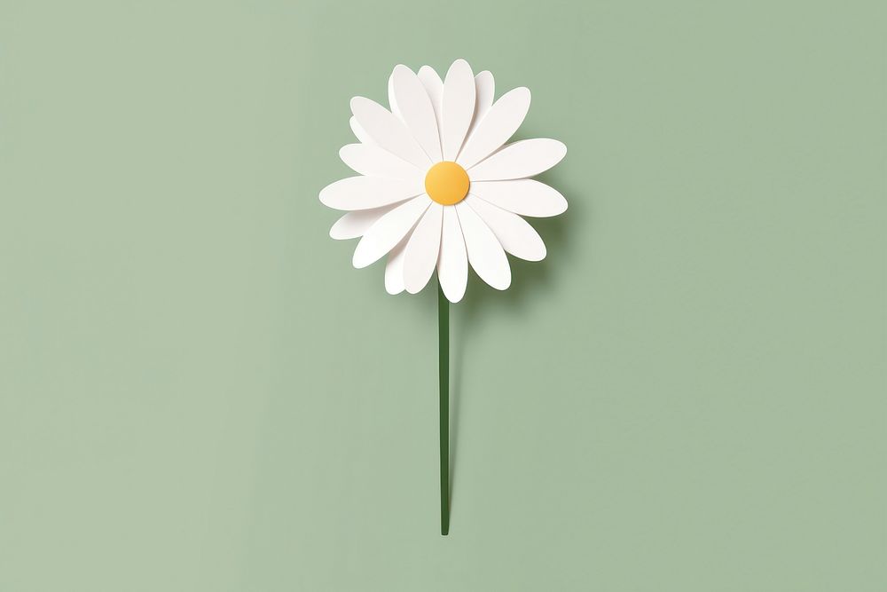 White daisy flower petal plant. AI generated Image by rawpixel.