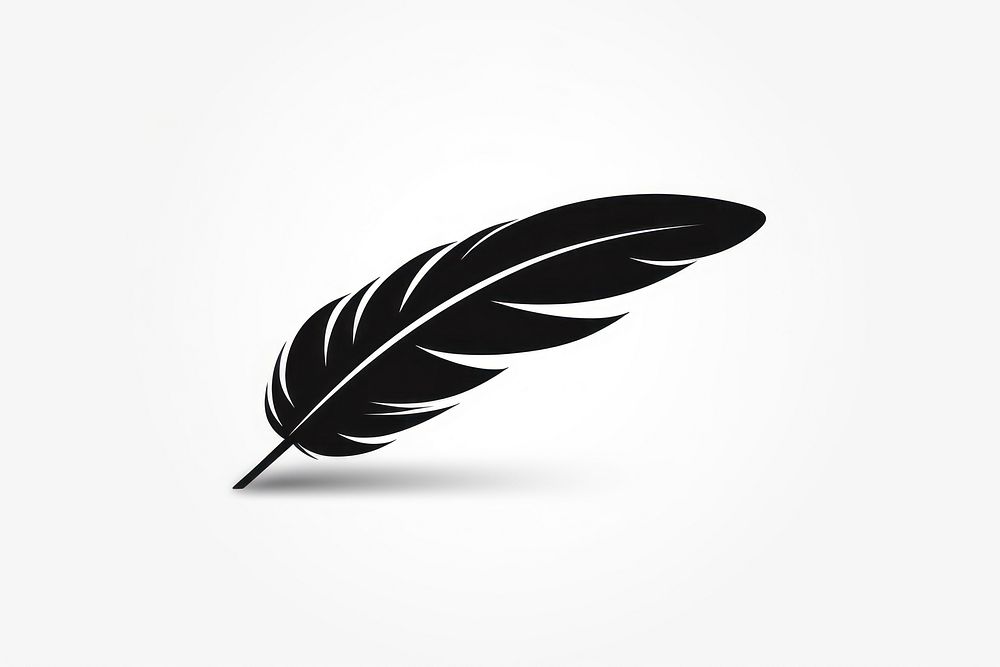 Feather feather white background lightweight. 