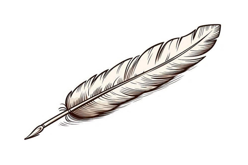 Feather pen writing drawing. AI generated Image by rawpixel.