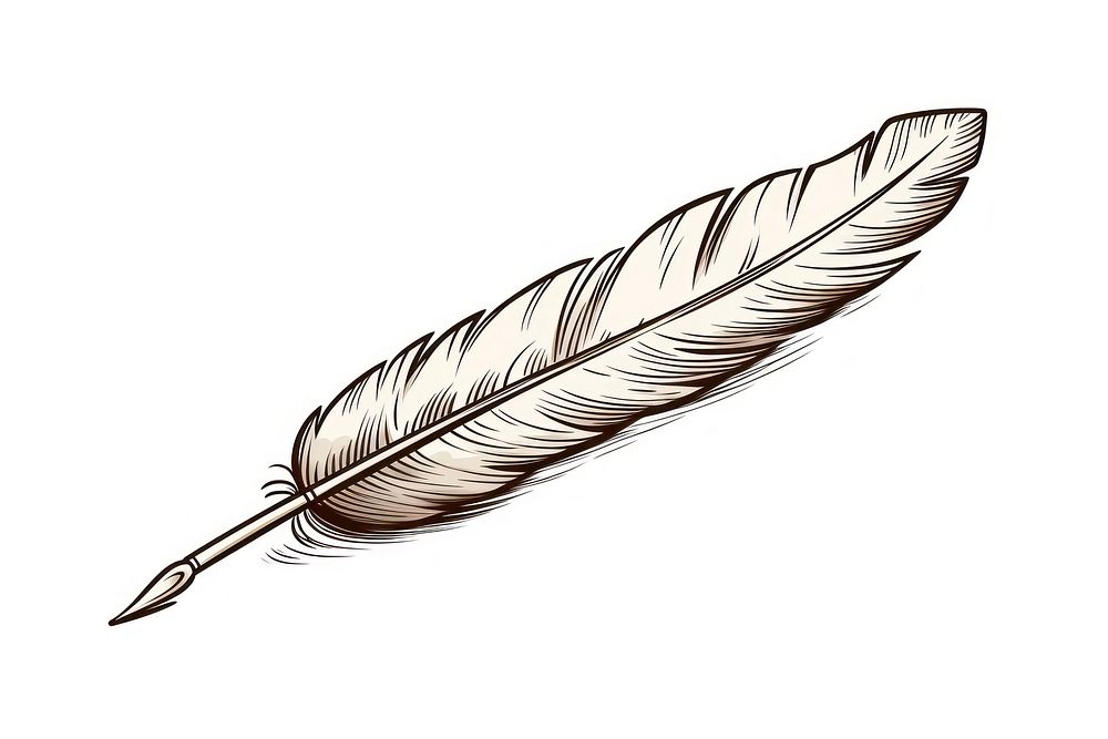 Feather pen writing drawing AI Free Photo Illustration rawpixel