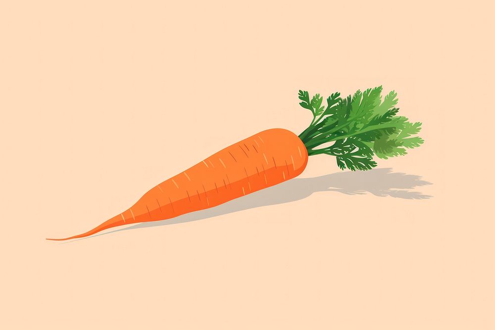 Carrot food vegetable plant. 