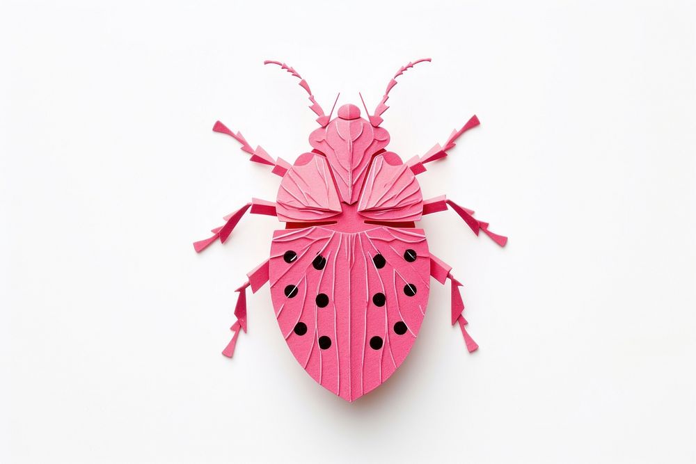 Insect insect animal paper. 