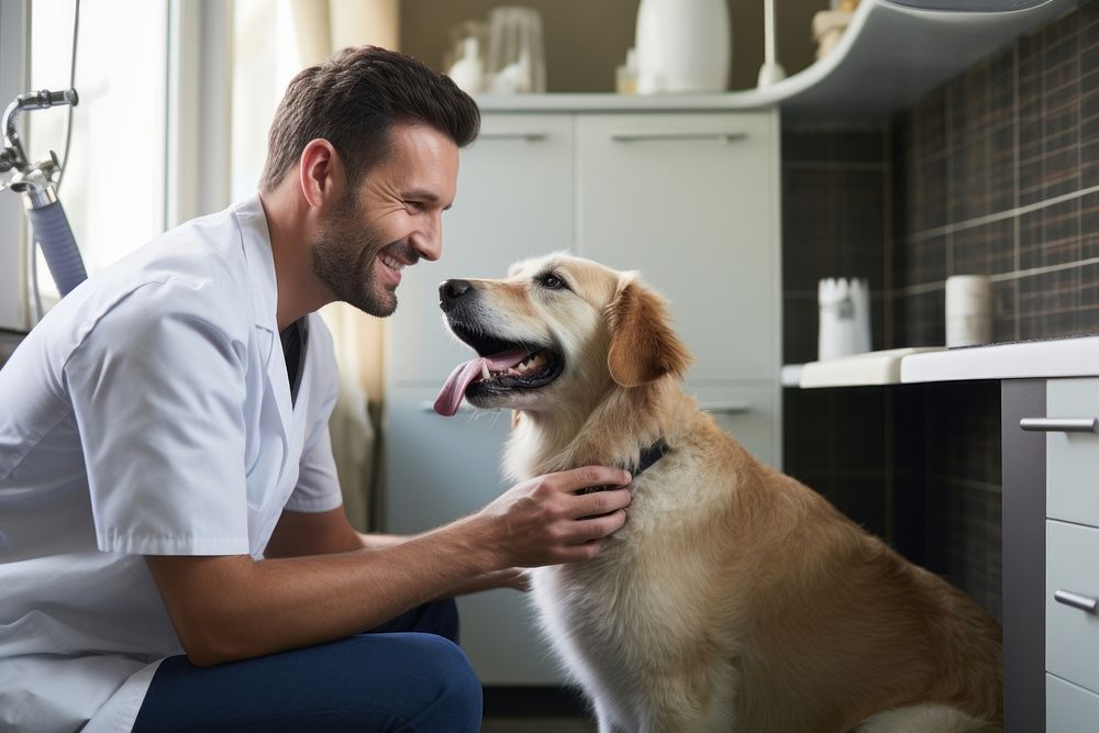 Dog veterinarian mammal animal. 