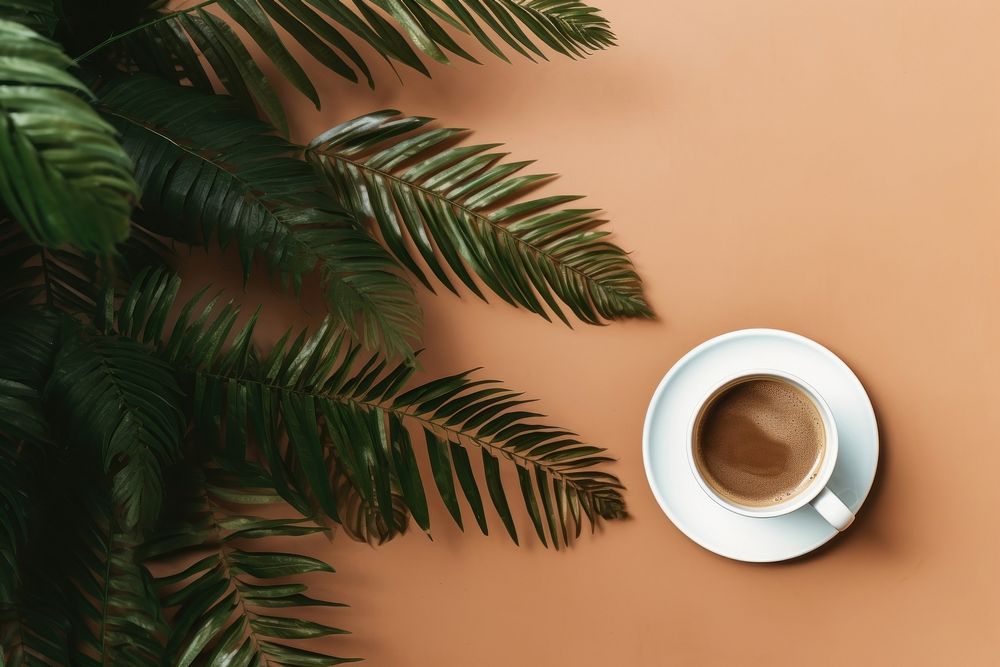 Coffee coffee saucer nature. AI generated Image by rawpixel.