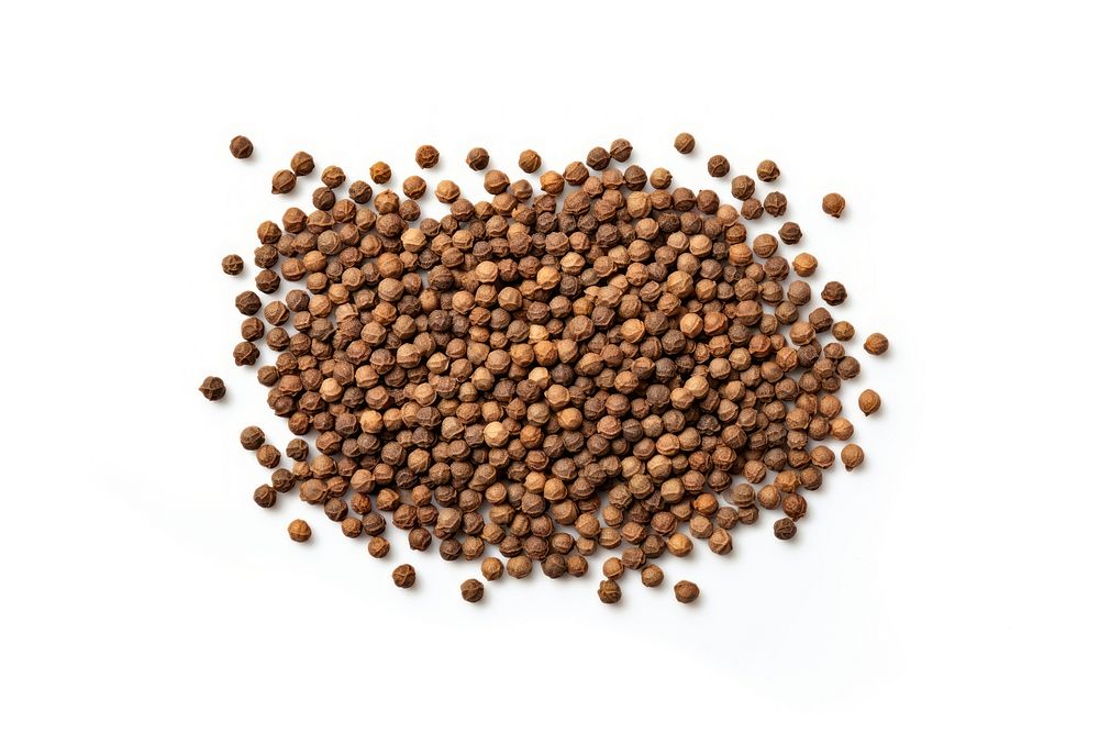 Coriander seeds backgrounds food white background. AI generated Image by rawpixel.