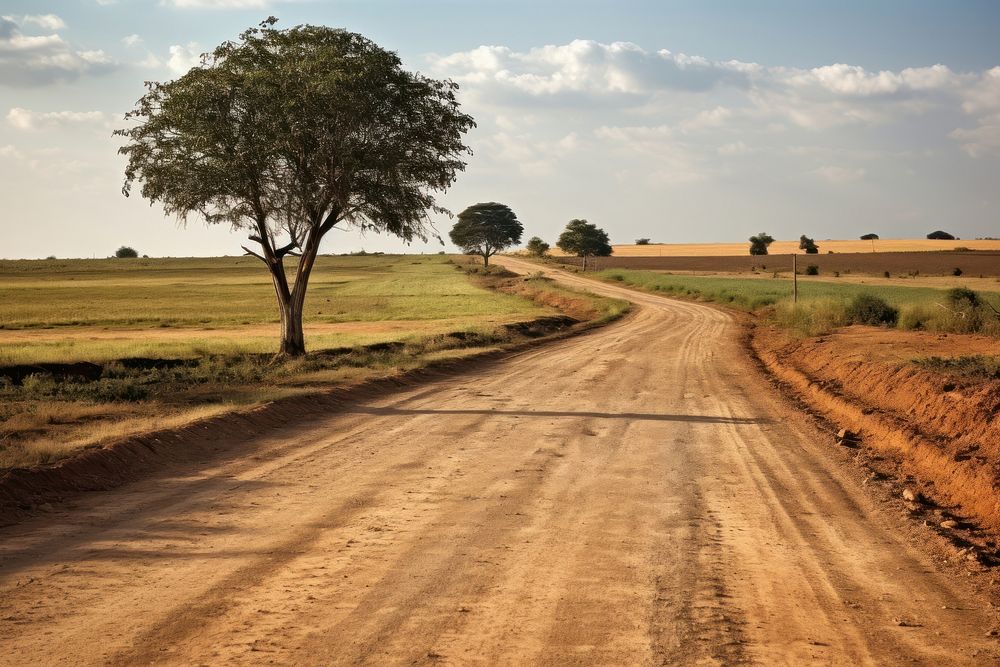 Road plant landscape outdoors. 