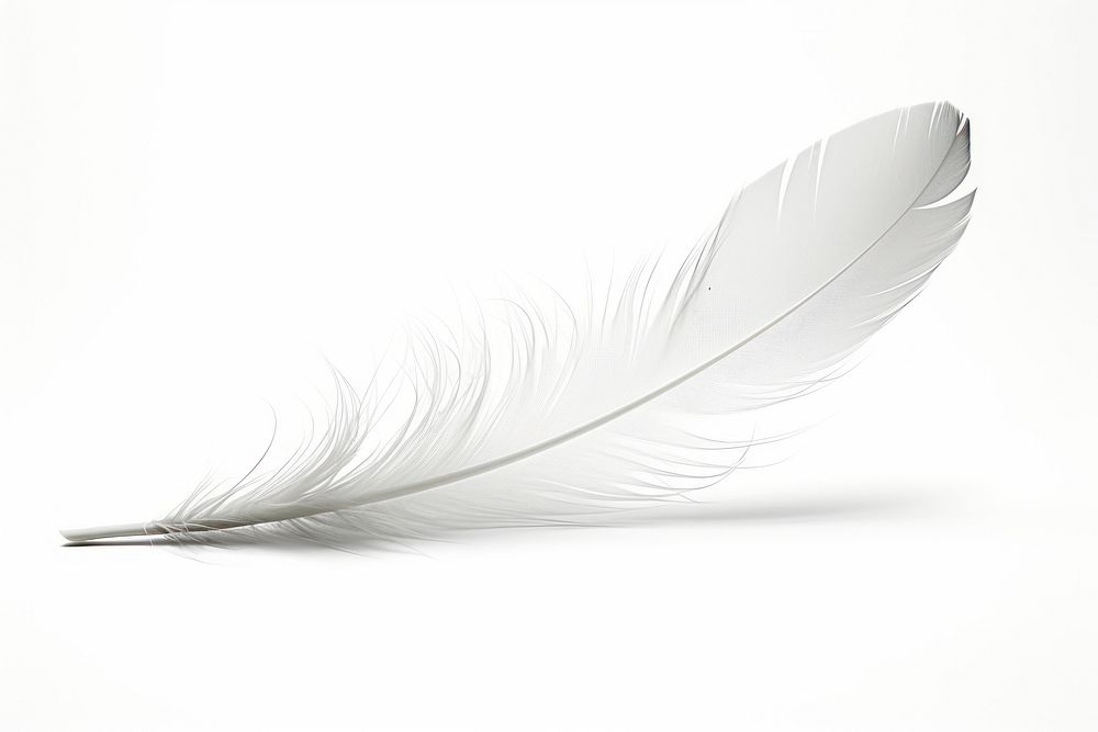 Falling Feather feather white. AI generated Image by rawpixel.