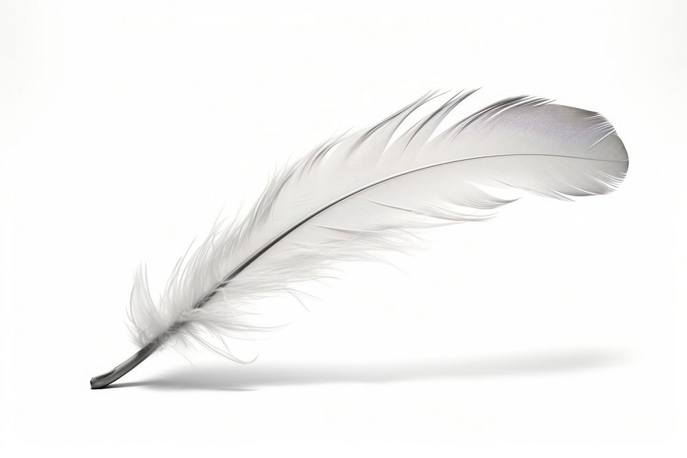 Falling Feather feather white. AI generated Image by rawpixel.