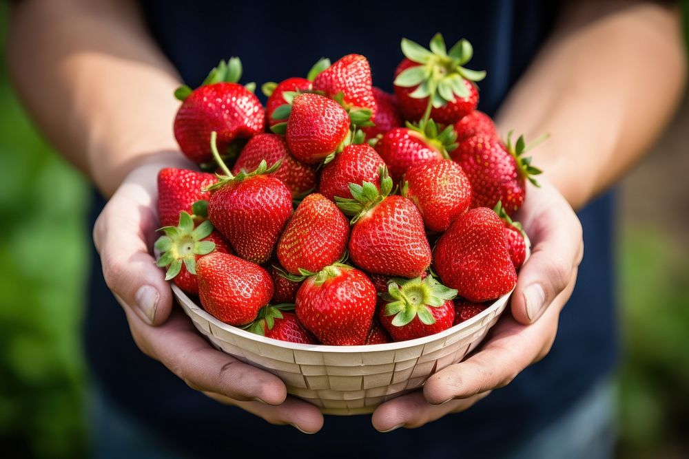 Strawberries strawberry harvesting fruit. AI generated Image by rawpixel.