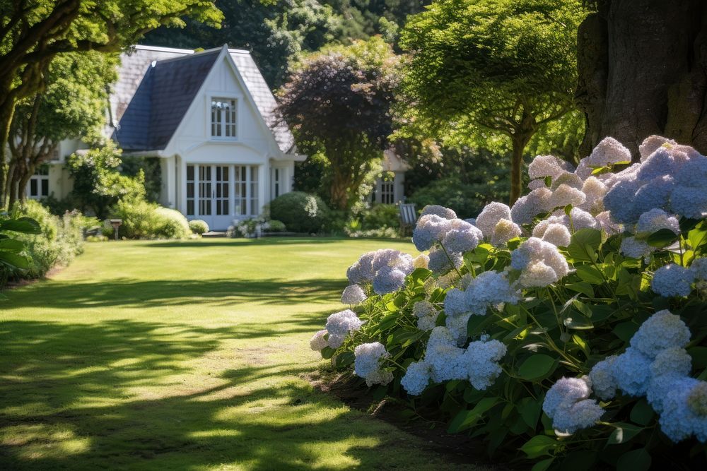 Garden lawn architecture hydrangea. AI generated Image by rawpixel.