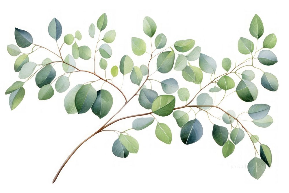 Drawing plant sketch green. AI generated Image by rawpixel.