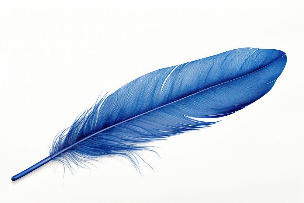 Blue feather white background lightweight accessories. AI generated Image by rawpixel.